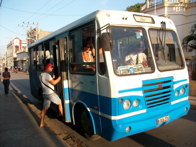 Diana-Bus