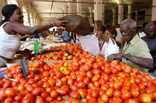 Bauernmarkt in Havanna